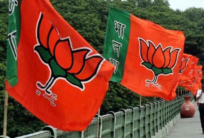 bjp flag new