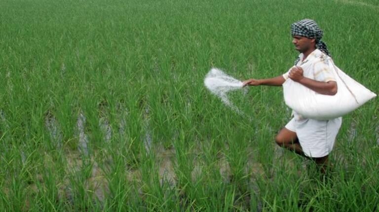 Agriculture News: बिहार में किसानों को झेलनी पड़ रही खाद की समस्या, राज्य सरकार ने उठाए ये सख्त कदम