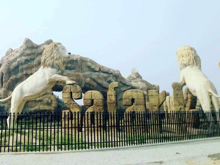 इटावा सफारी में बढ़ रहा शेरों का कुनबा, गॉडमदर जेसिका ने दिया नौंवे शावक को जन्म