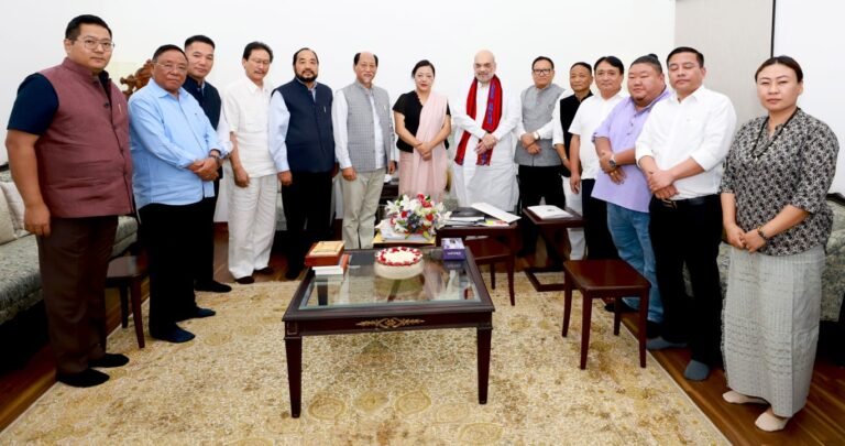 Chief Minister and Deputy CM met Amit Shah